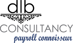 Payroll Consultant